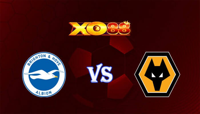 XO88 Nhận định soi kèo Brighton vs Wolves 02h45 ngày 23/01/2024 Ngoại hạng Anh
