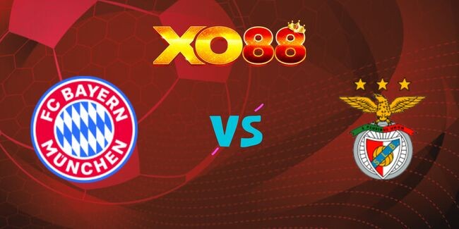 XO88 Nhận định soi kèo Bayern Munich vs Benfica, 03h00 ngày 07/11/2024