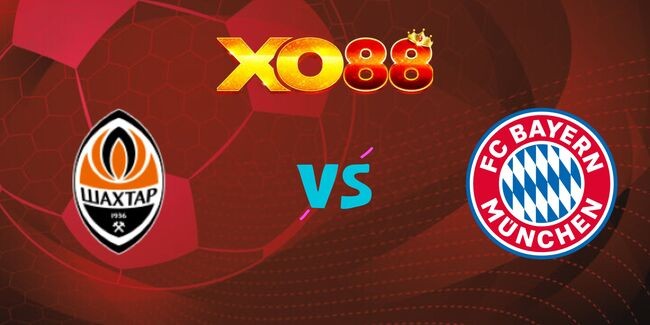 XO88 Nhận định soi kèo Shakhtar Donetsk vs Bayern Munich, 03h00 ngày 11/12/2024