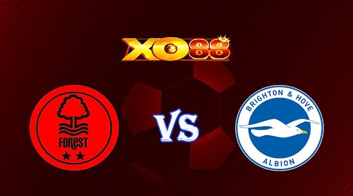 XO88 Nhận định soi kèo Nottingham vs Brighton 01h30 ngày 27/04/2023 Ngoại Hạng Anh