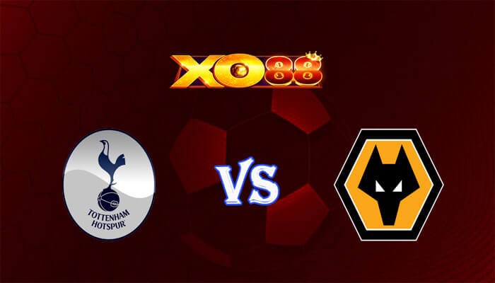 XO88 Nhận định soi kèo Tottenham vs Wolves 22h00 ngày 17/02/2024 Ngoại Hạng Anh