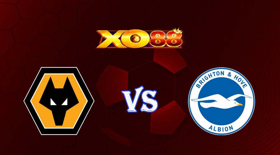 XO88 Nhận định soi kèo Wolves vs Brighton 21h00 ngày 19/08/2023 Ngoại Hạng Anh