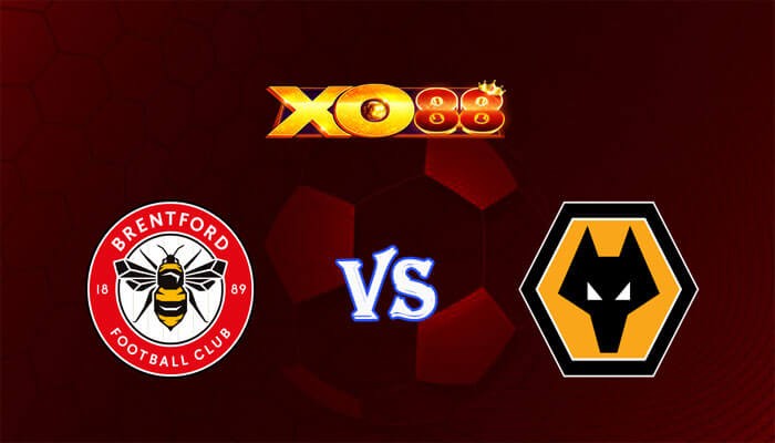 XO88 Nhận định soi kèo Brentford vs Wolves 02h15 ngày 06/01/2024 FA Cup