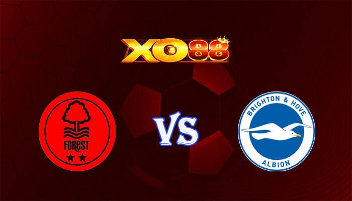 XO88 Nhận định soi kèo Nottingham vs Brighton 22h00 ngày 25/11/2023 Ngoại Hạng Anh