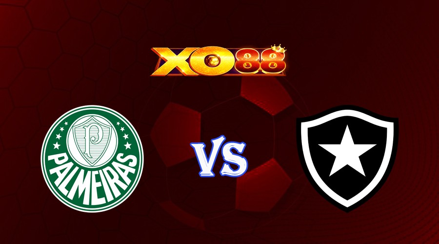 XO88 Nhận định soi kèo Palmeiras vs Botafogo 02h00 ngày 26/06/2023 VĐQG Brazil