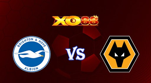 XO88 Nhận định soi kèo Brighton vs Wolves 21h00 ngày 29/04/2023 Ngoại Hạng Anh