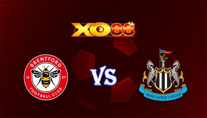 XO88 Nhận định soi kèo Brentford vs Newcastle 22h00 ngày 19/05/2024 Ngoại Hạng Anh