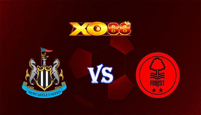 XO88 Nhận định soi kèo Newcastle vs Nottingham 19h30 ngày 26/12/2023 Ngoại Hạng Anh