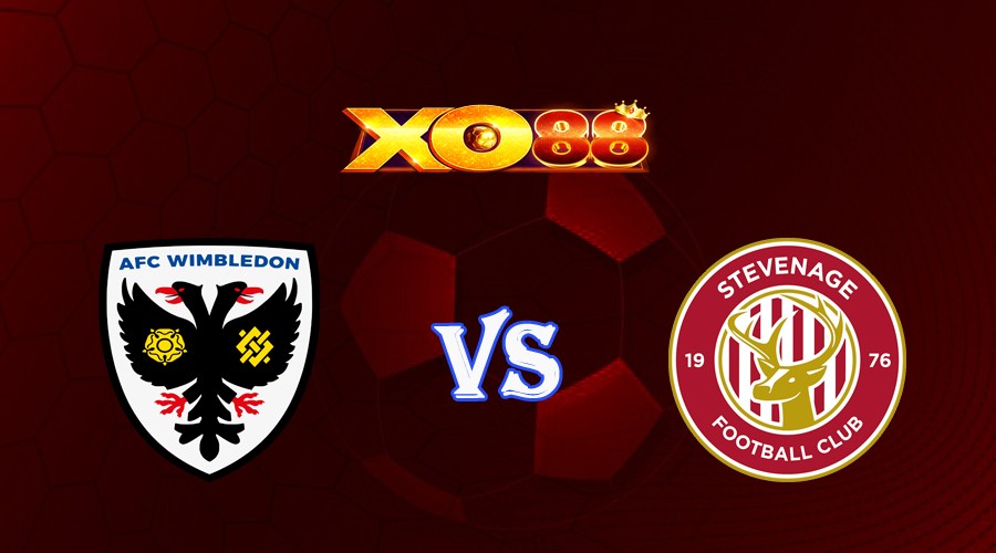 XO88 Nhận định soi kèo AFC Wimbledon vs Stevenage FC 01h00 ngày 06/09/2023 Cup League Trophy Anh