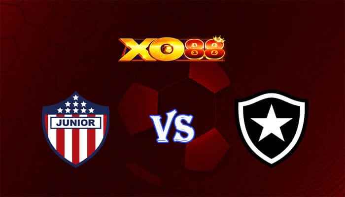 XO88 Nhận định soi kèo Atletico Junior vs Botafogo RJ 05h00 ngày 29/05/2024 Copa Libertadores