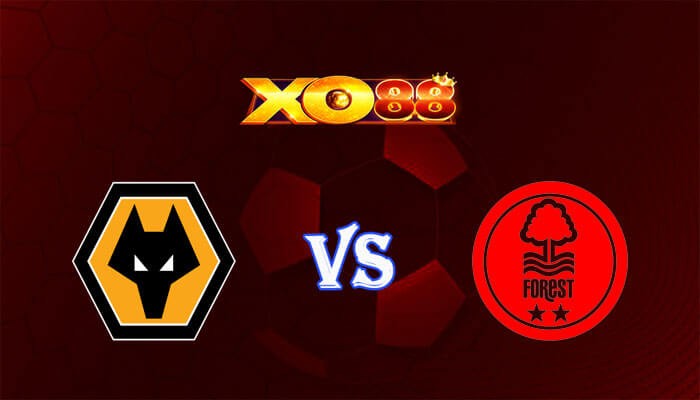 XO88 Nhận định soi kèo Wolves vs Nottingham 22h00 ngày 09/12/2023 Ngoại Hạng Anh