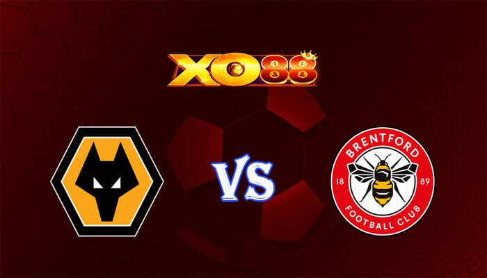 XO88 Nhận định soi kèo Wolves vs Brentford 22h00 ngày 10/02/2024 Ngoại Hạng Anh