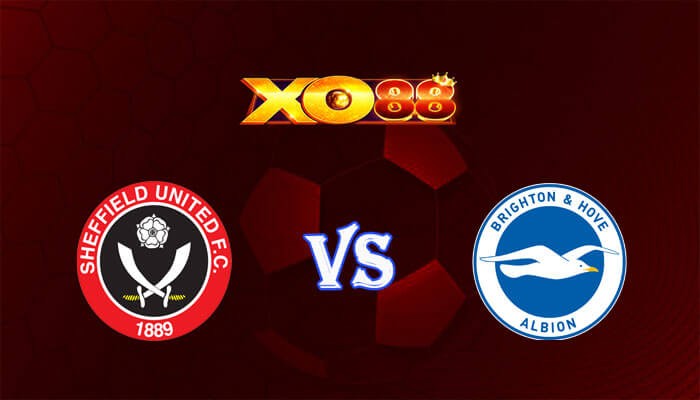 XO88 Nhận định soi kèo Sheffield United vs Brighton 21h00 ngày 18/02/2024 Ngoại Hạng Anh